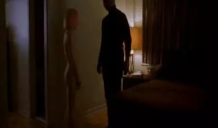 De erotische seksfilms arts die met een lid van de