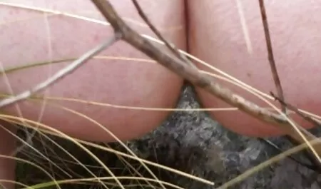 Neuk een meisje in haar kont mooie seksfilms